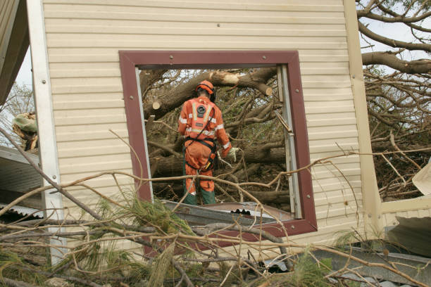 How Our Tree Care Process Works  in  St Johns, MI